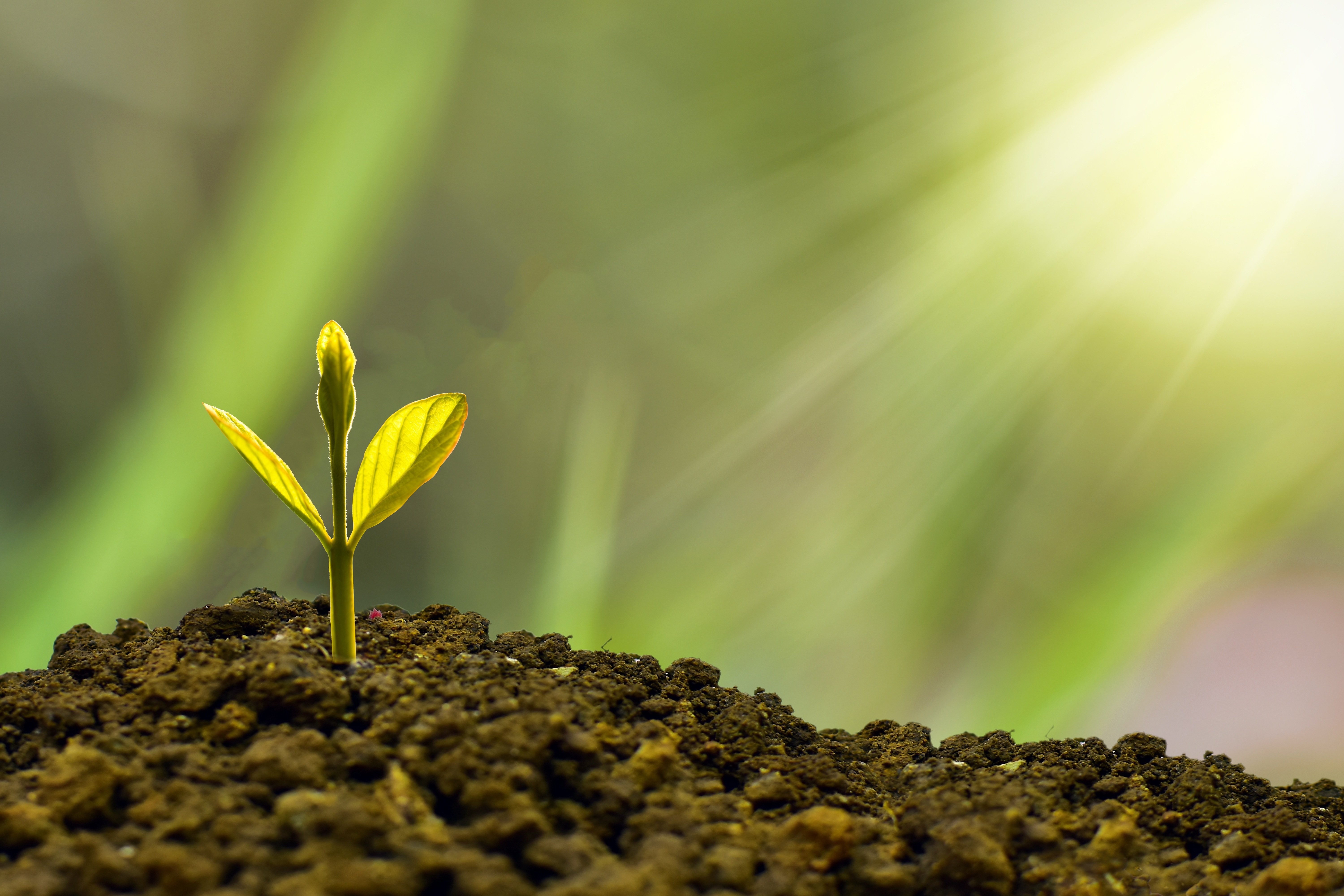 Digital agriculture technology platform